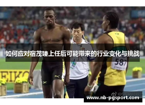 如何应对宿茂臻上任后可能带来的行业变化与挑战 如何应对宿茂臻上任后可能带来的行业变化与挑战